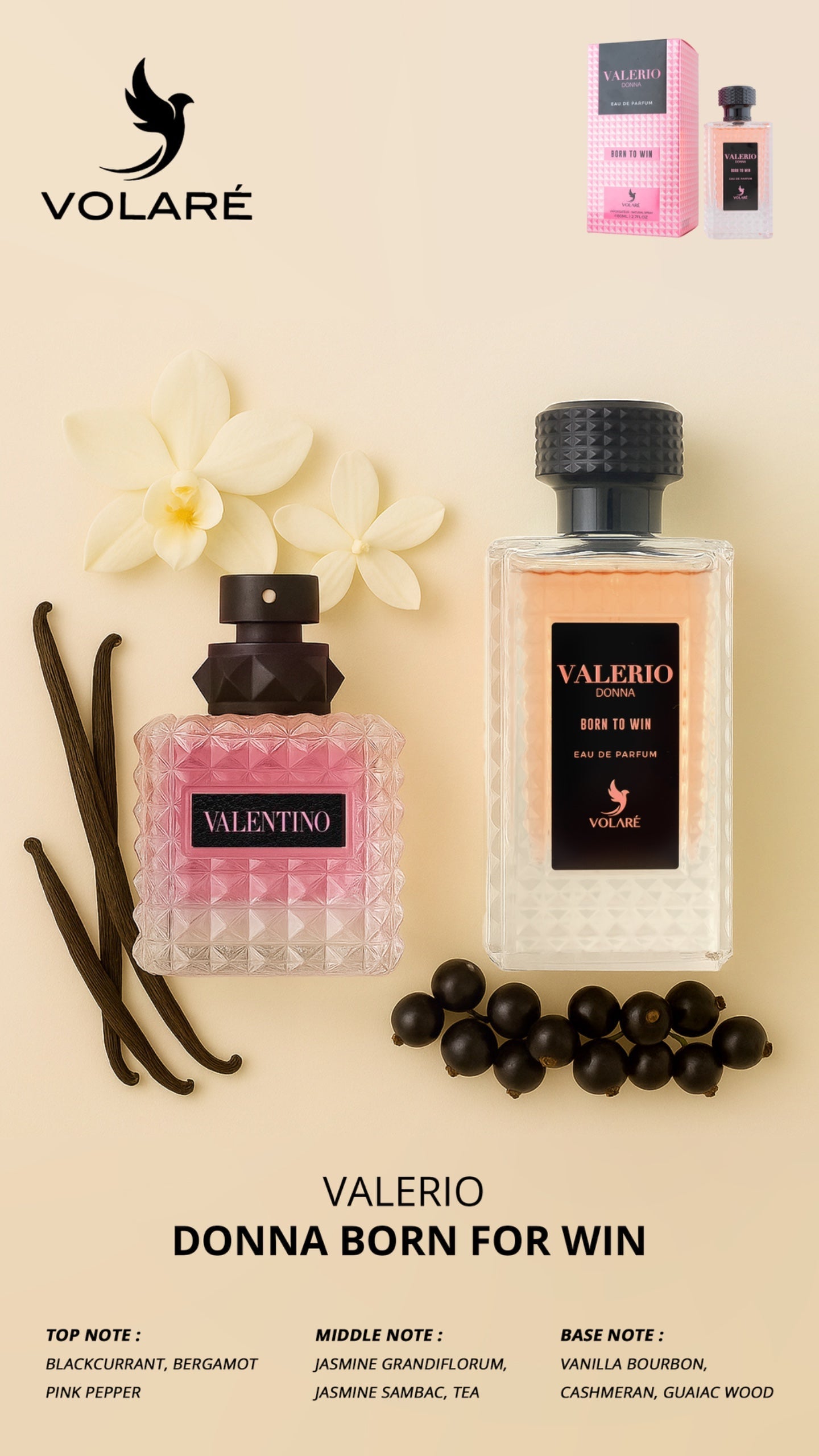 Volare Valerio Donna Born To Win – Jasmine Vanilla Perfume | 100 ml